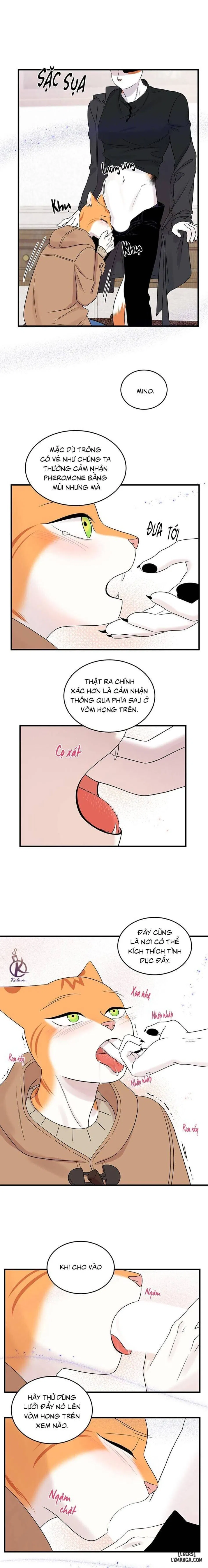Dự án xanh 