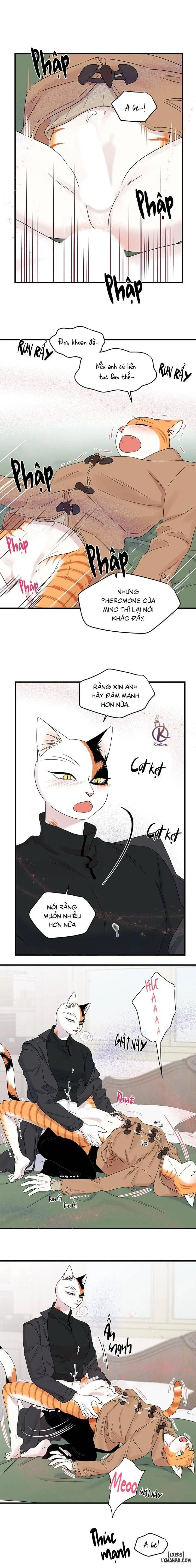 Dự án xanh 