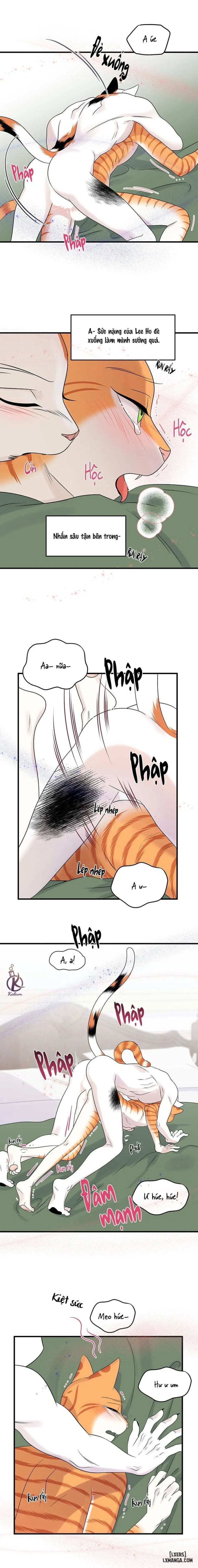 Dự án xanh 