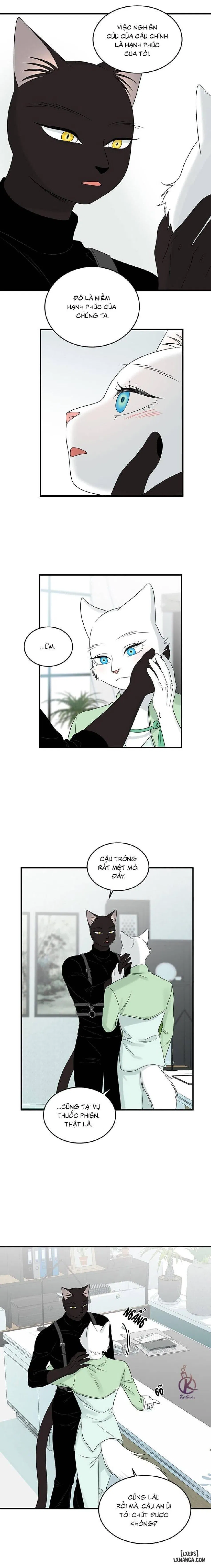 Dự án xanh 