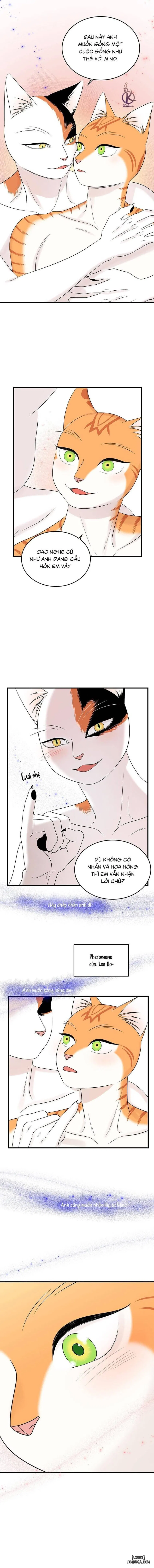 Dự án xanh 