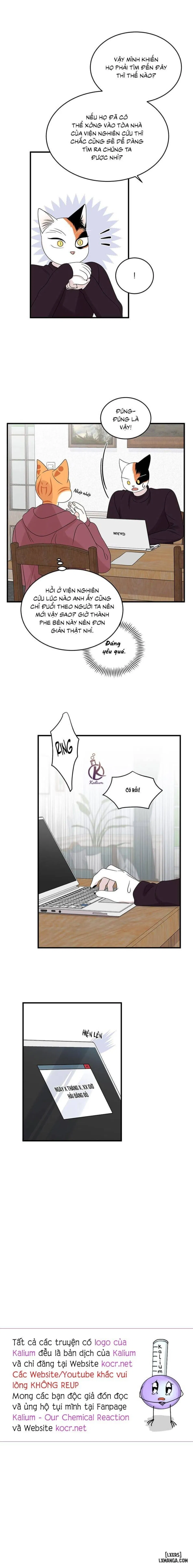 Dự án xanh 