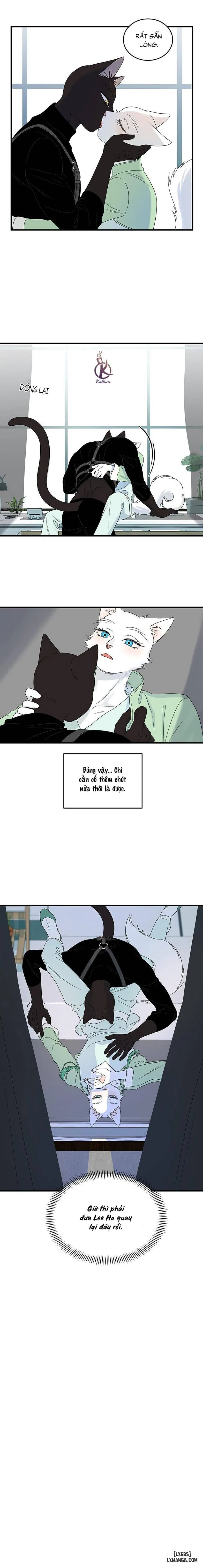 Dự án xanh 