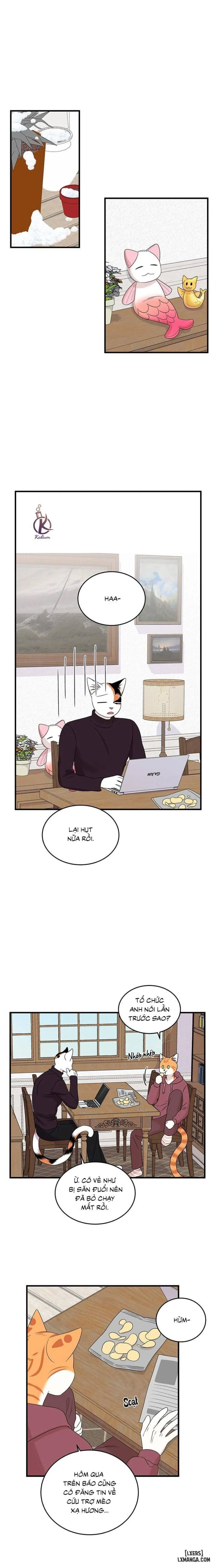 Dự án xanh 