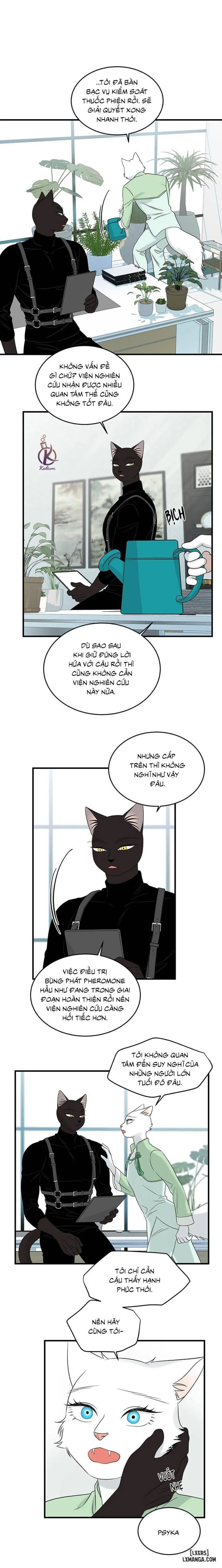 Dự án xanh 