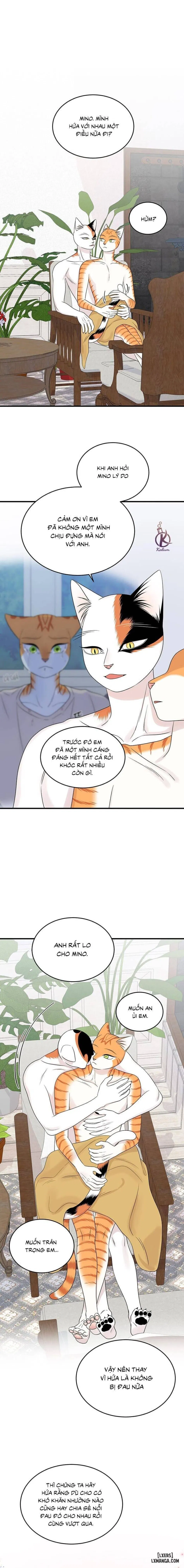 Dự án xanh 