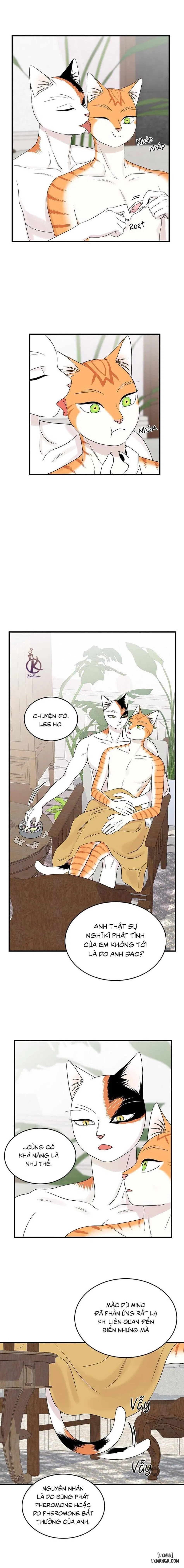 Dự án xanh 