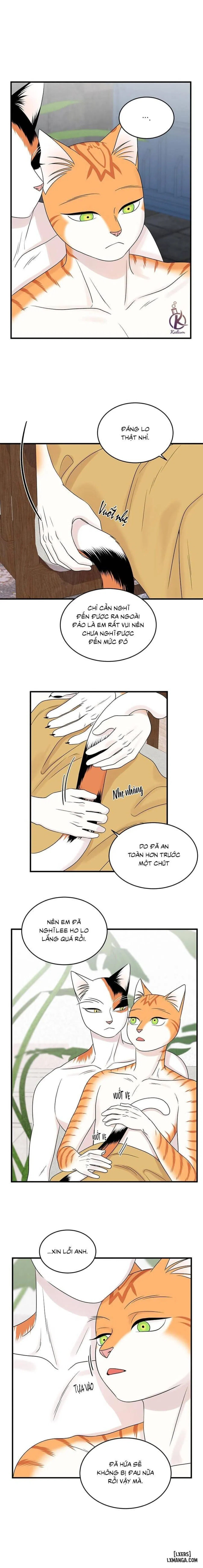 Dự án xanh 