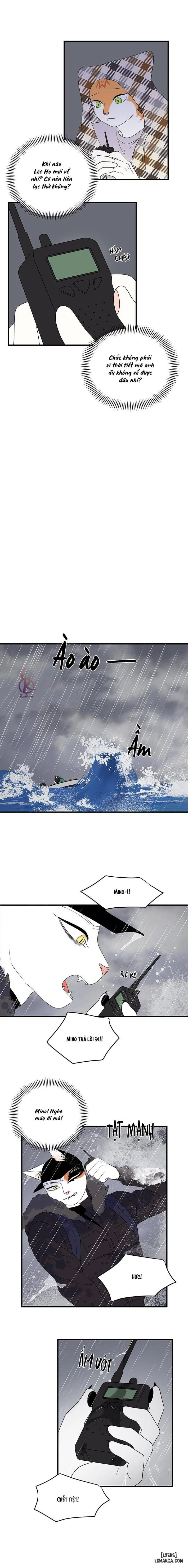 Dự án xanh 