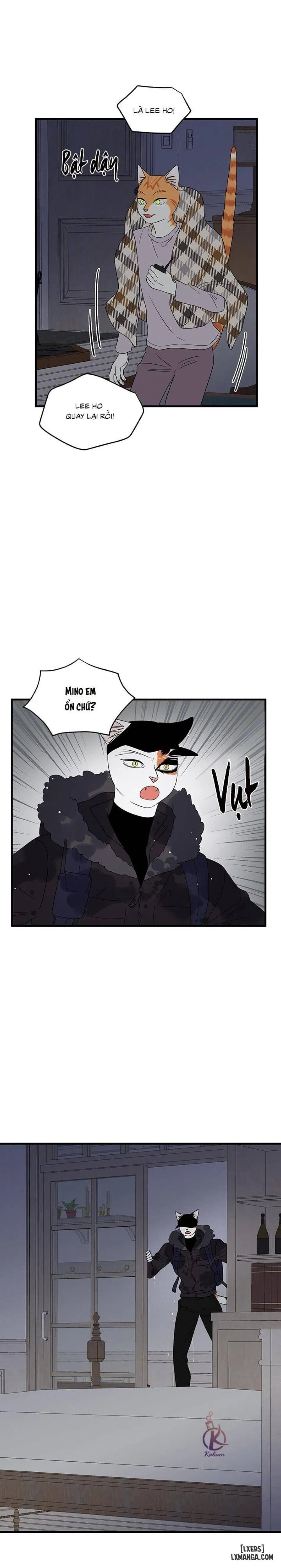Dự án xanh 