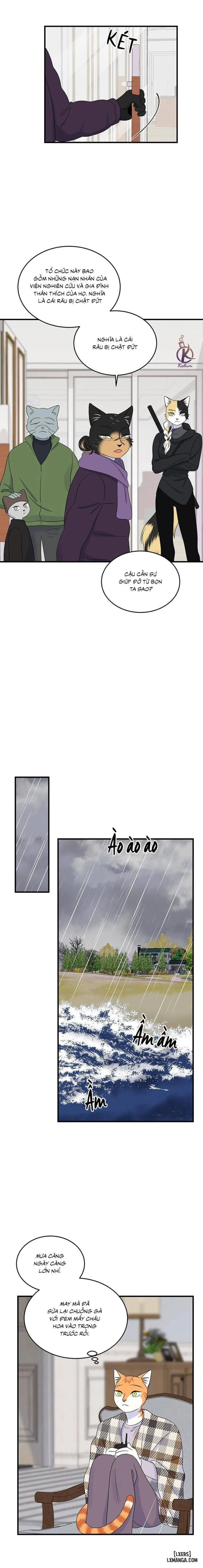Dự án xanh 