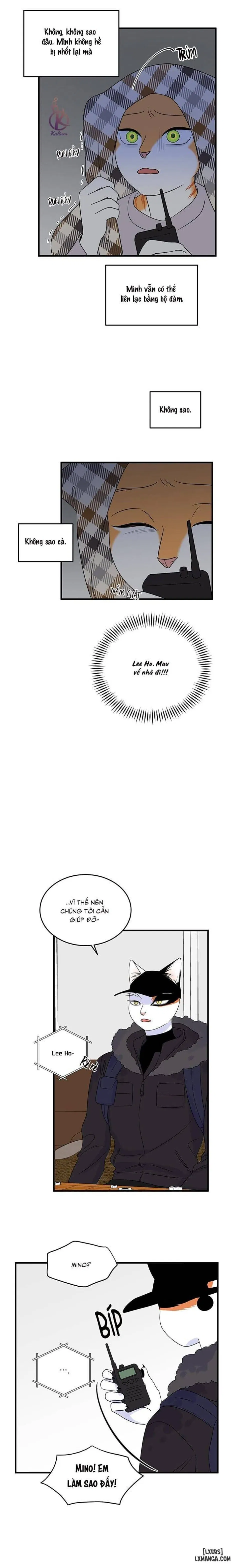 Dự án xanh 