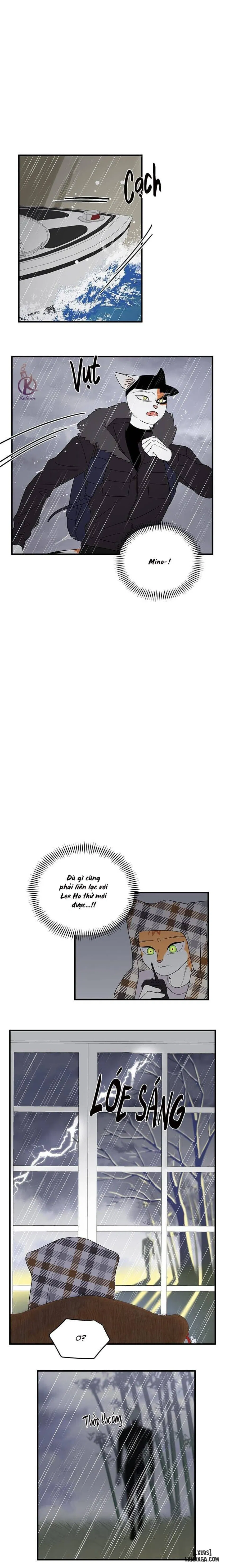 Dự án xanh 