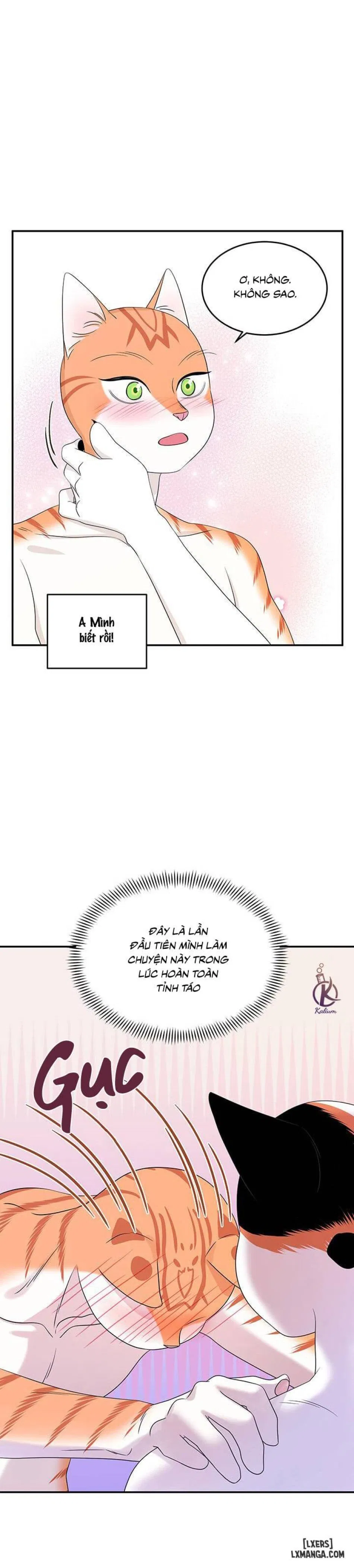 Dự án xanh 