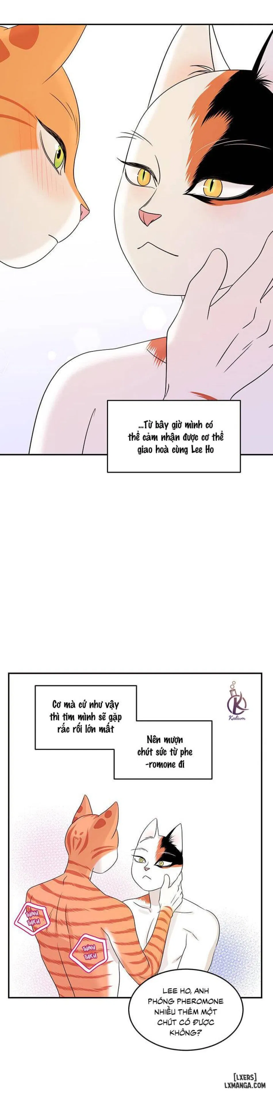 Dự án xanh 