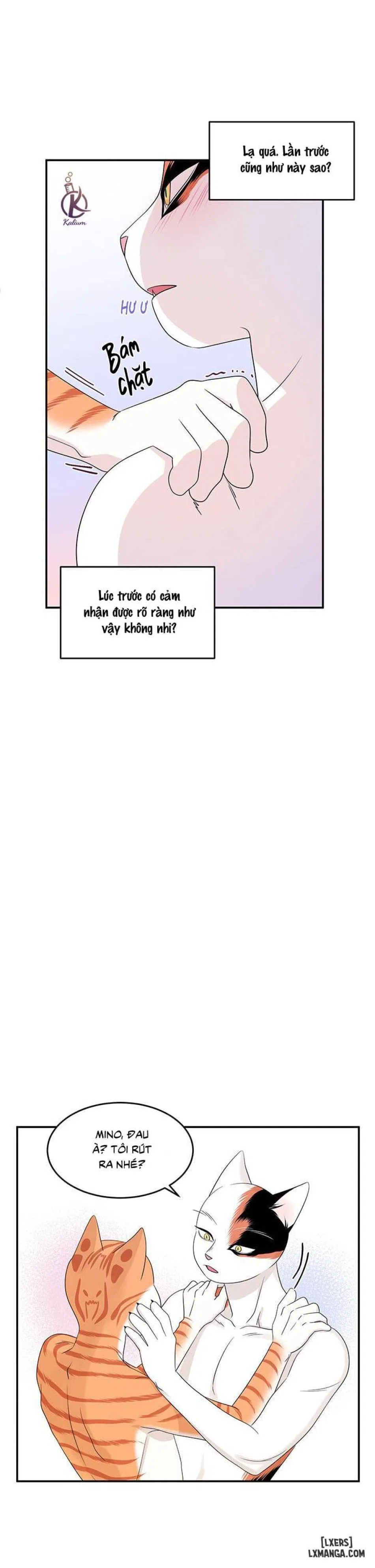 Dự án xanh 