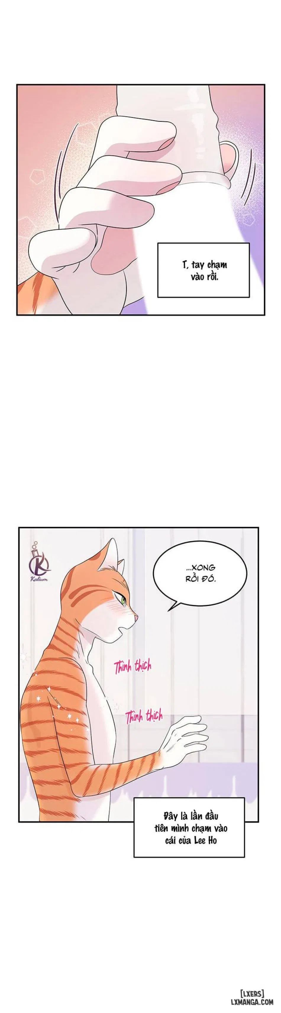 Dự án xanh 