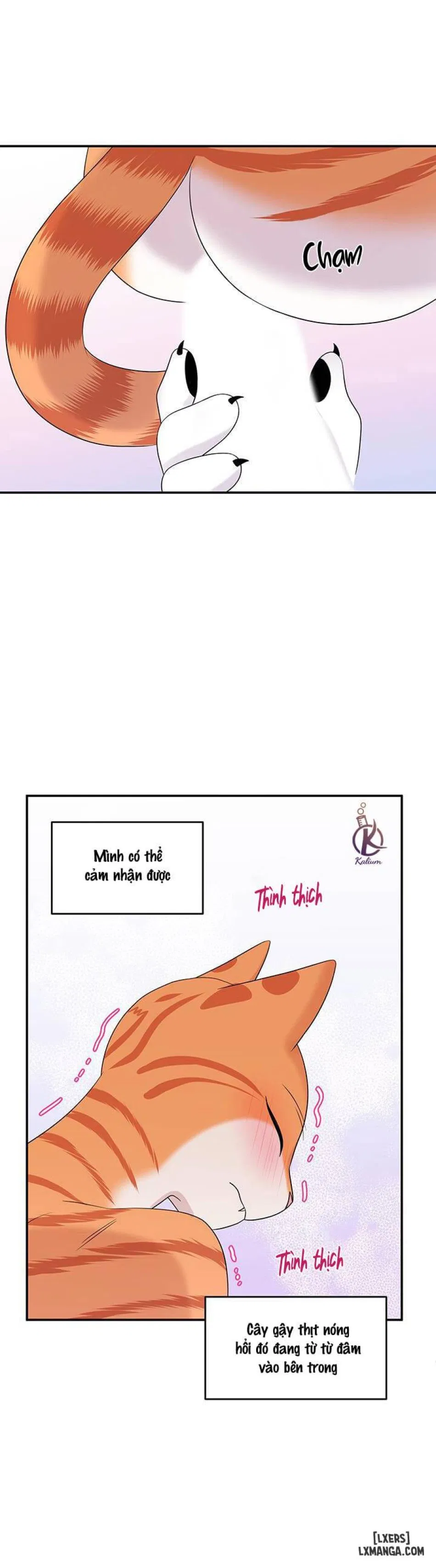 Dự án xanh 