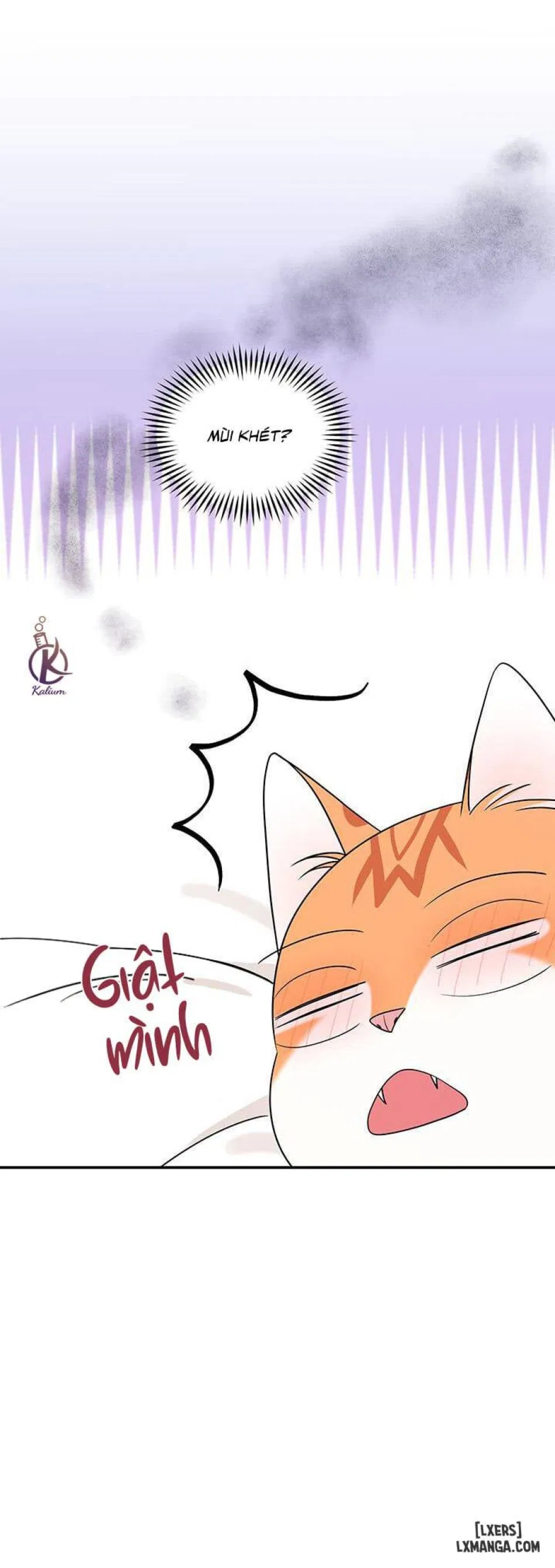 Dự án xanh 
