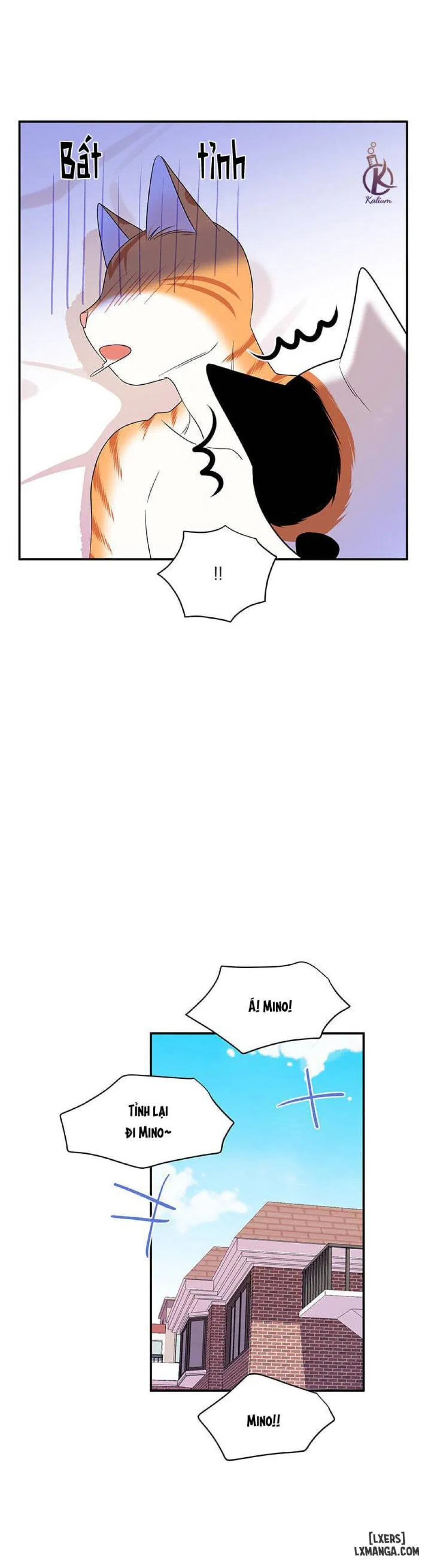 Dự án xanh 