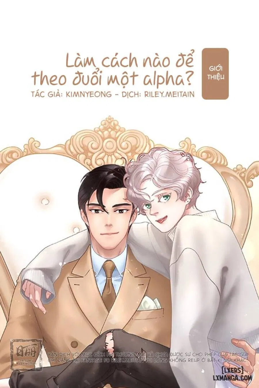 Làm cách nào để theo đuổi một Alpha? 