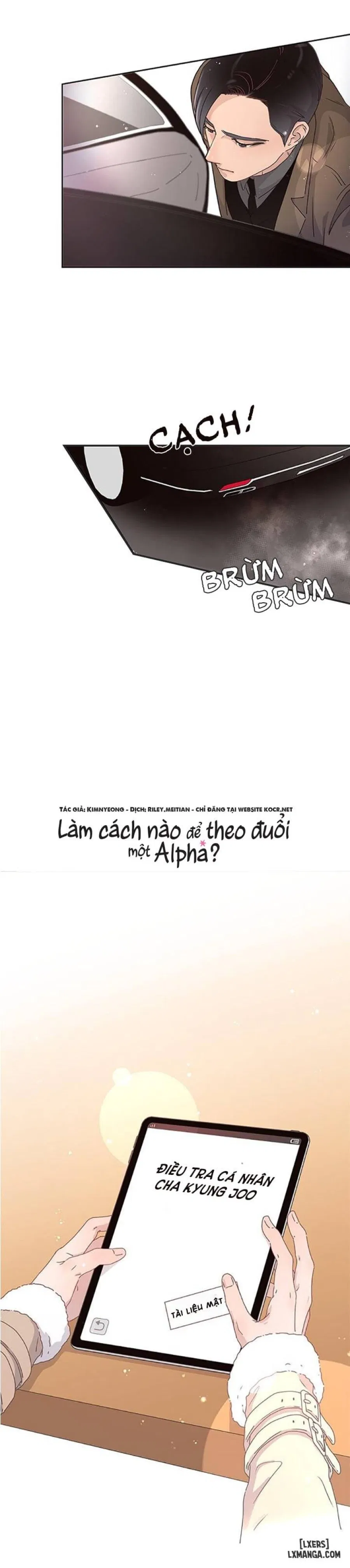 Làm cách nào để theo đuổi một Alpha? 