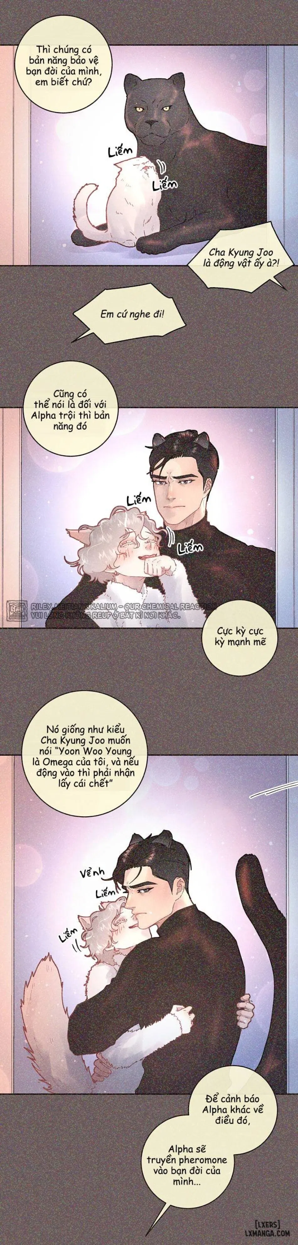 Làm cách nào để theo đuổi một Alpha? 