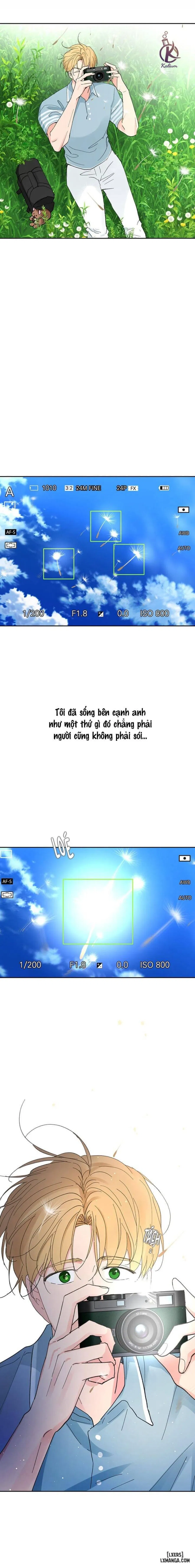 Tâm tư của Ju In 