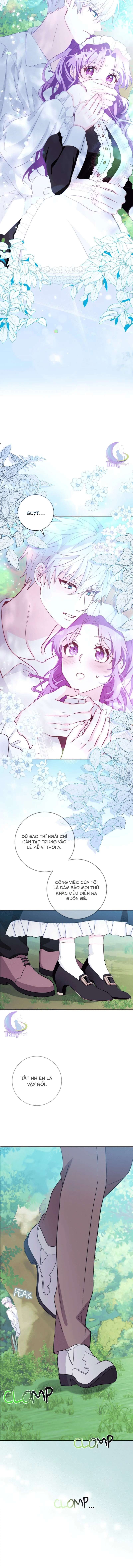 Bá Tước Quái Thú Sau Màn Đêm 
