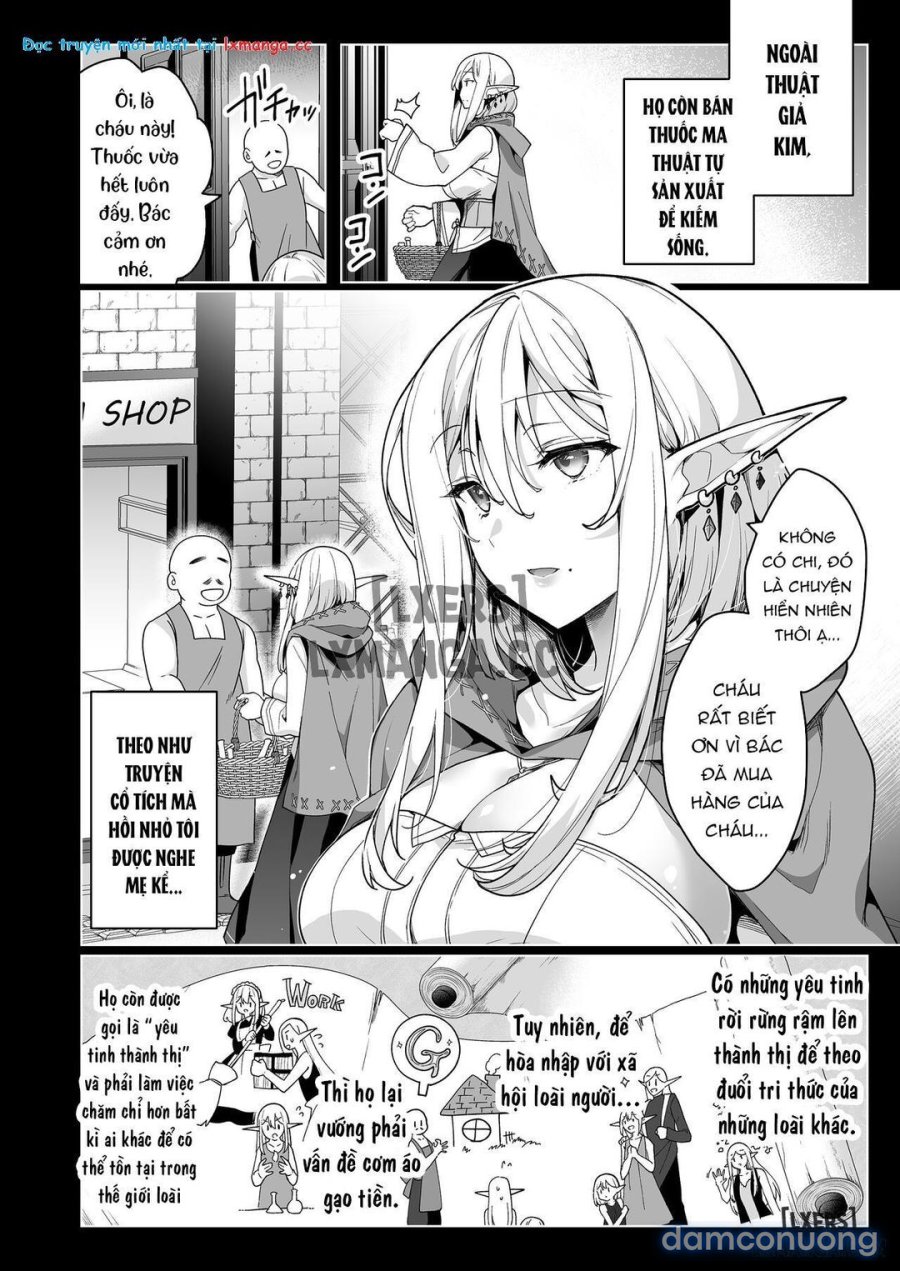Elf ni Inmon o Tsukeru Hon 