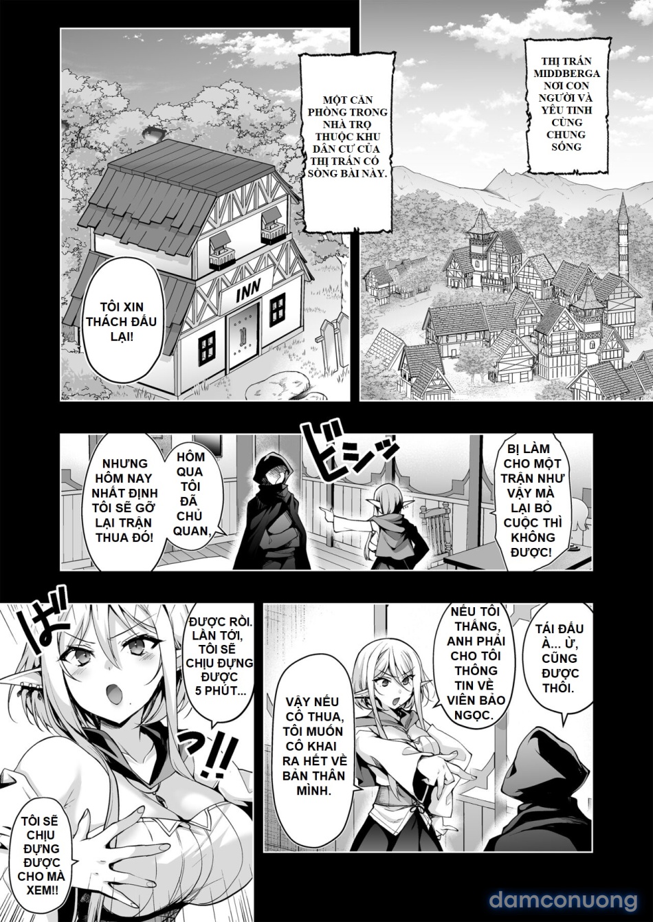 Elf ni Inmon o Tsukeru Hon 