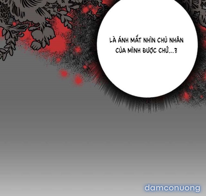 [15+] KHI TÔI BỊ CHÚ CHÓ TÔI BỎ RƠI CẮN 