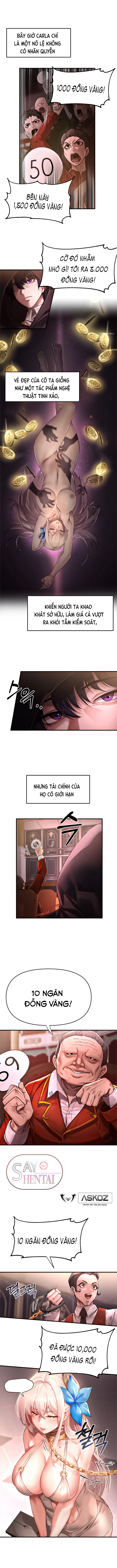 Giao thương. Thiếu nữ sa ngã. Chưa từng được sử dụng. 