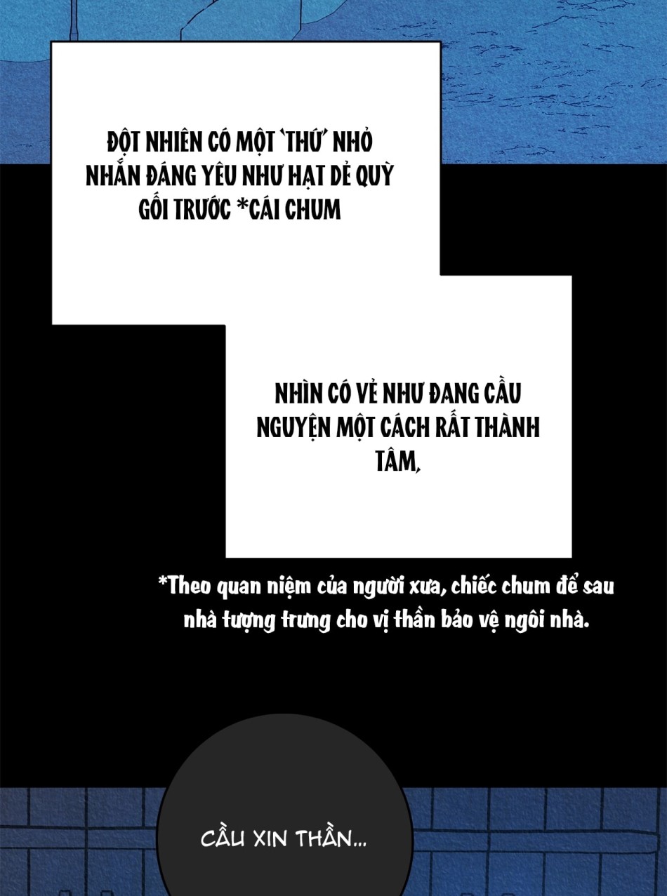 Cuộc đời nàng quả phụ Kyu Young. 