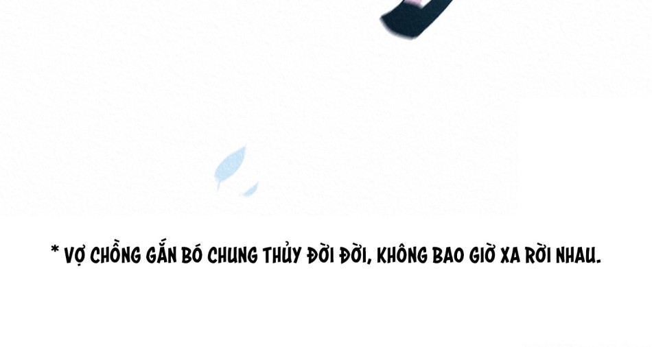 Cuộc đời nàng quả phụ Kyu Young. 