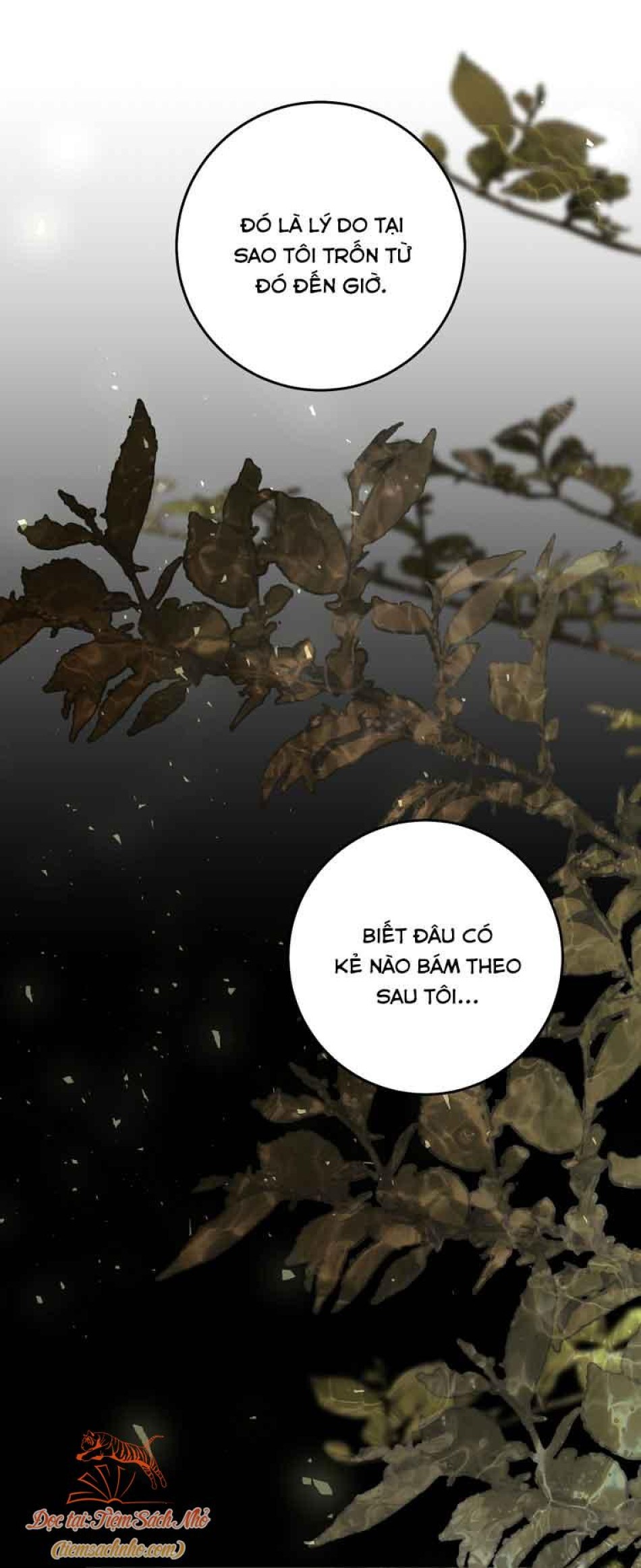 Ác Nữ Là Con Rối 