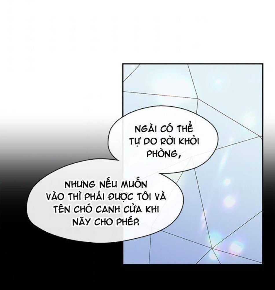 Không Thể Thoát Khỏi Người 
