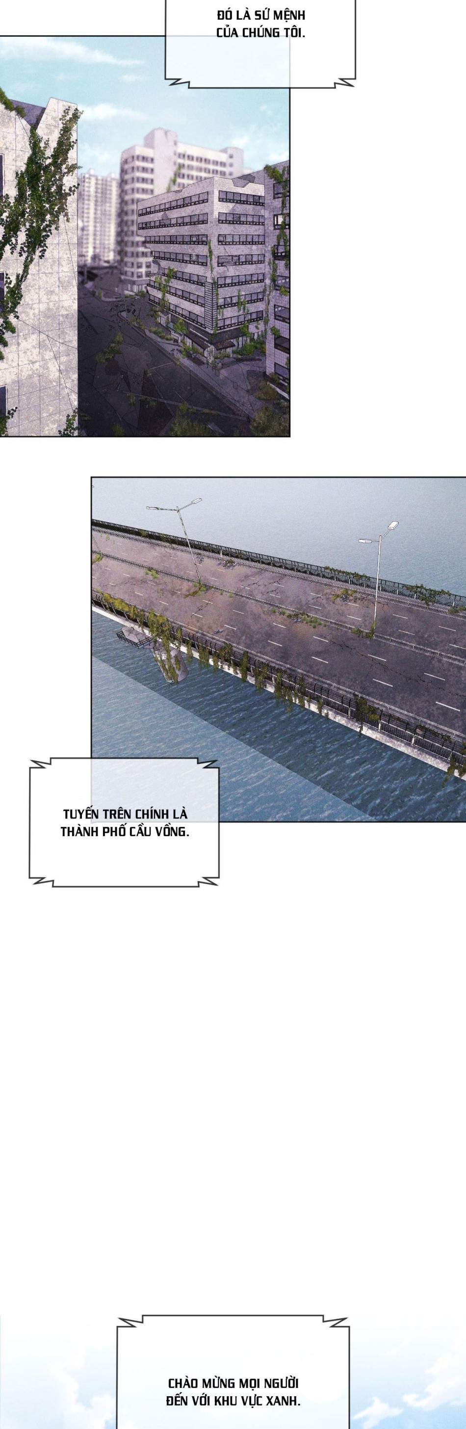 Thành phố cầu vồng 