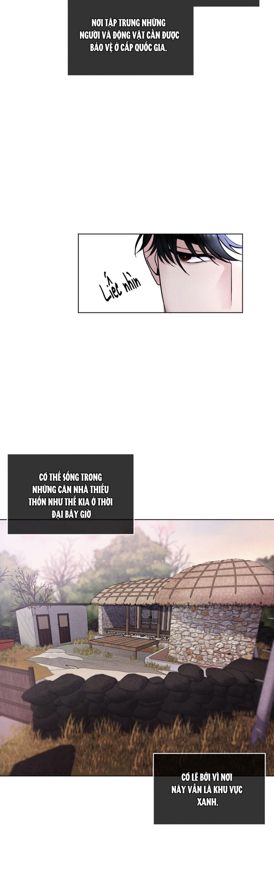 Thành phố cầu vồng 