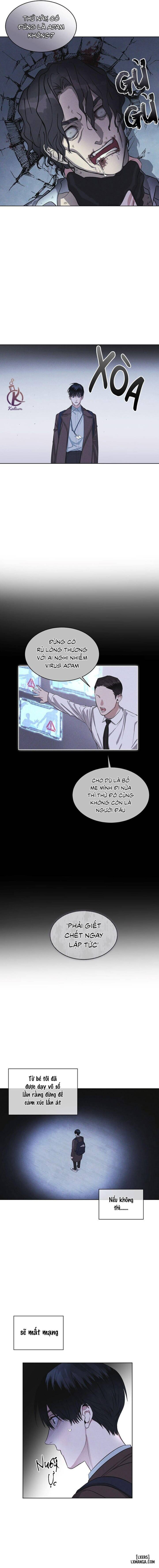 Thành phố cầu vồng 