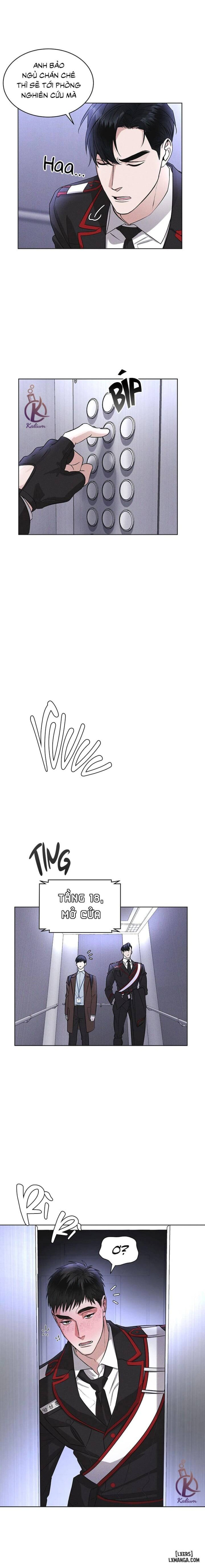 Thành phố cầu vồng 