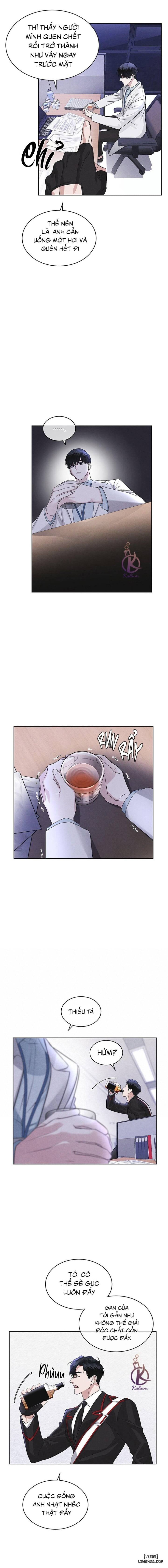 Thành phố cầu vồng 