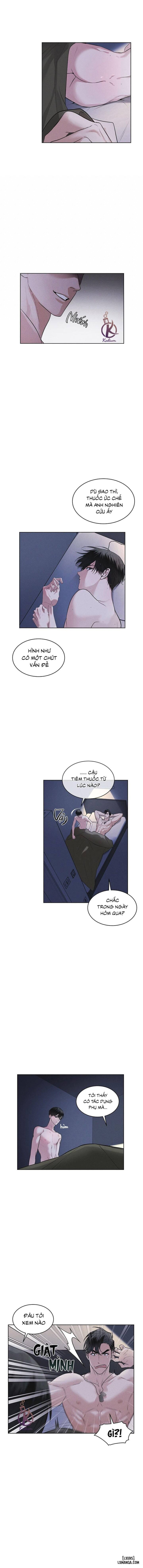 Thành phố cầu vồng 
