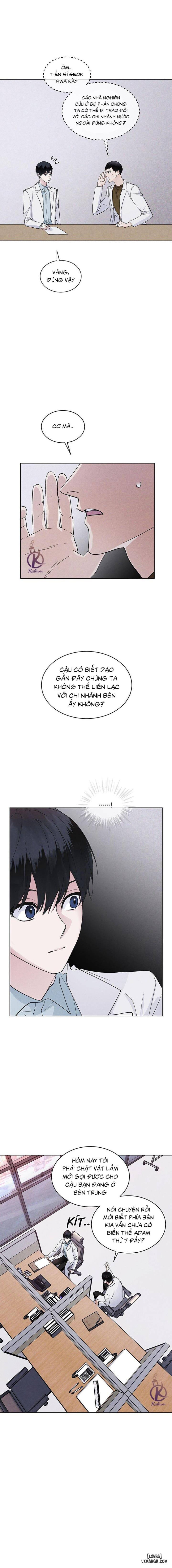 Thành phố cầu vồng 