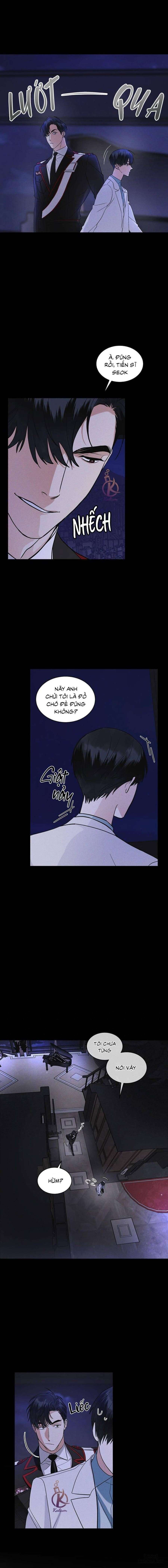 Thành phố cầu vồng 