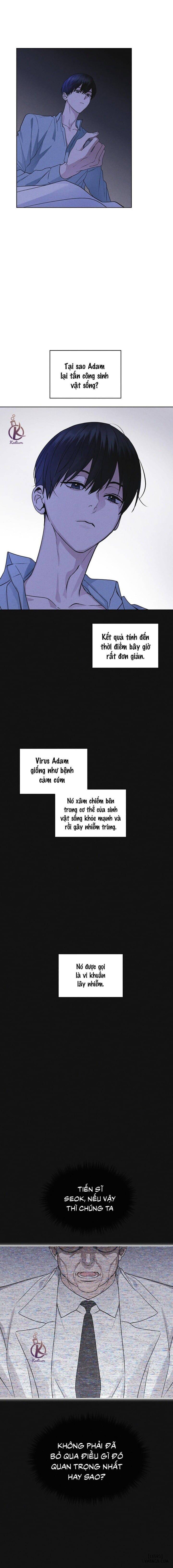Thành phố cầu vồng 