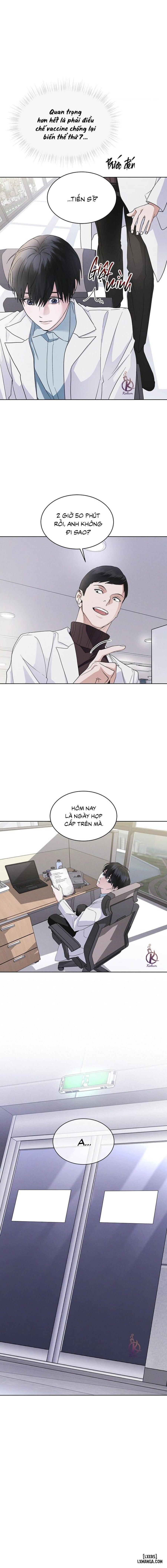 Thành phố cầu vồng 