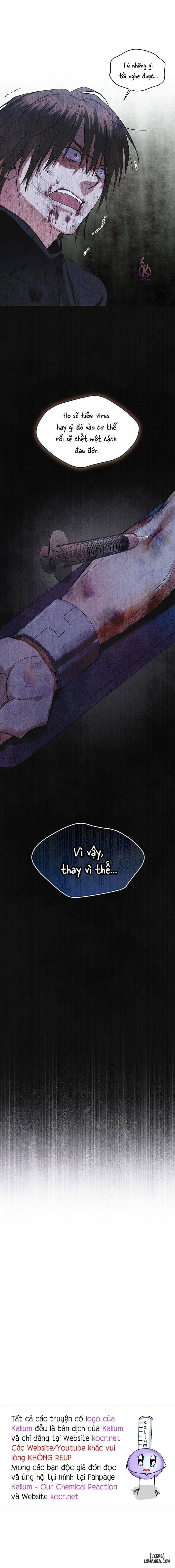 Thành phố cầu vồng 