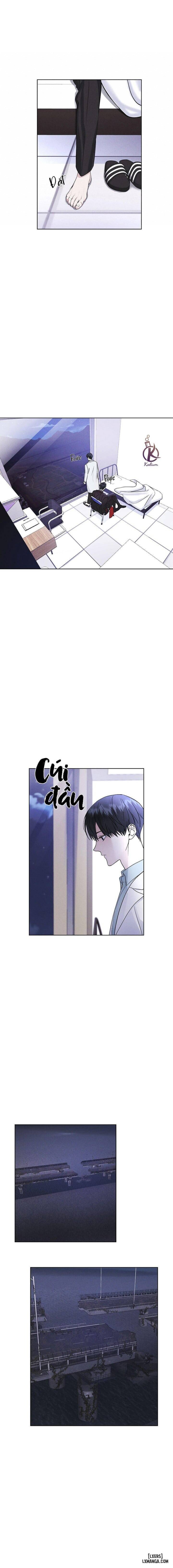 Thành phố cầu vồng 