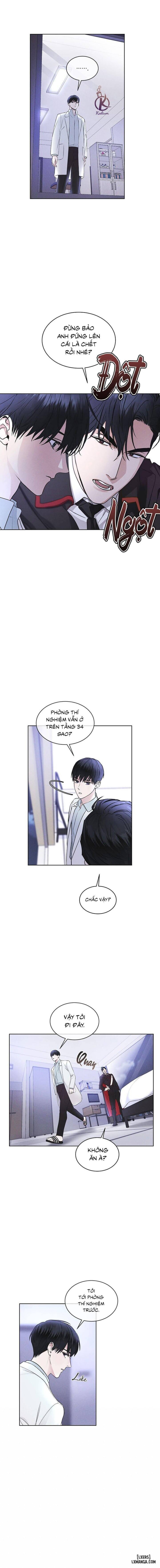 Thành phố cầu vồng 